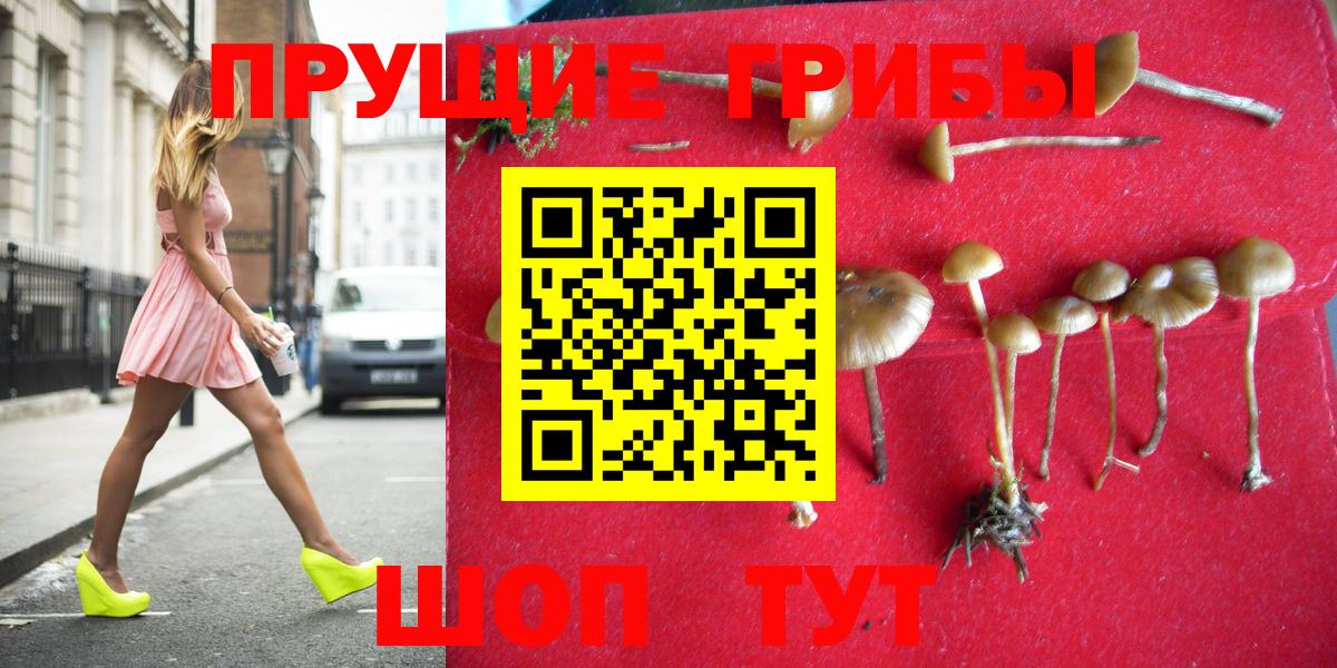 Первоуральск  Галлюциногенные грибы Cubensis  Вход с VPN 